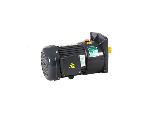 100W 1/8HP 立式小型交流齒輪減速電機(jī)